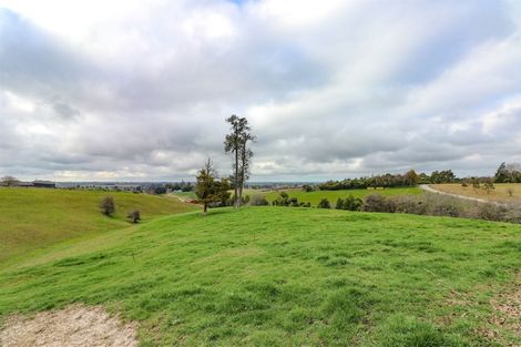 Photo of property in 50 Kalaugher Road, Geraldine Downs, Geraldine, 7991