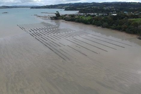 Photo of property in 50 Kiteone Road, Parua Bay, Whangarei, 0174