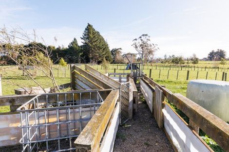 Photo of property in 62 Nga Tawa Road, Marton, 4787