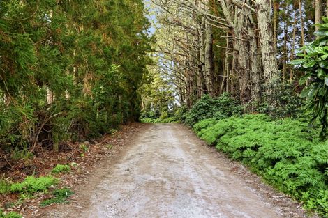 Photo of property in 497a Tara Road, Mangawhai, 0573