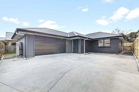 Photo of property in 21a Franklin Avenue, Hokowhitu, Palmerston North, 4410