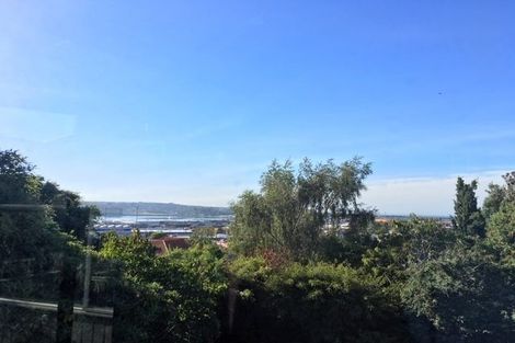 Photo of property in 1/79 Stafford Street, Dunedin Central, Dunedin, 9016