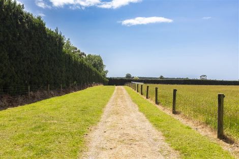 Photo of property in 256 Beatties Road, Ashley, Rangiora, 7477