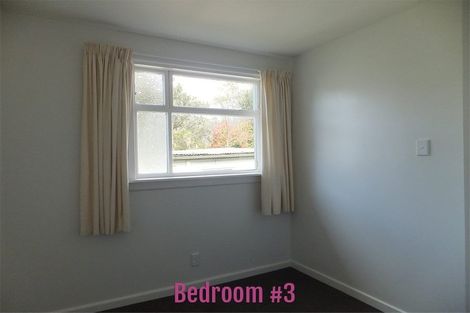 Photo of property in 223a Waimea Terrace, Beckenham, Christchurch, 8023