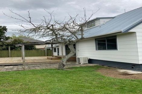 Photo of property in 43b Fifth Avenue, Enderley, Hamilton, 3214