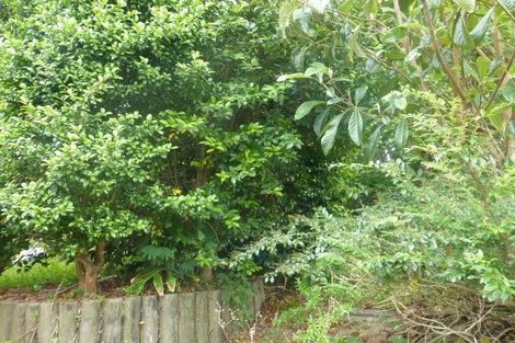 Photo of property in 56 Tiverton Road, Avondale, Auckland, 0600