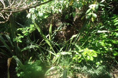 Photo of property in 9 London Terrace, Putaruru, 3411