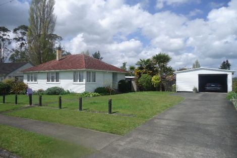 Photo of property in 9 London Terrace, Putaruru, 3411
