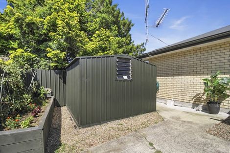 Photo of property in 19 Goodall Street, Dinsdale, Hamilton, 3204