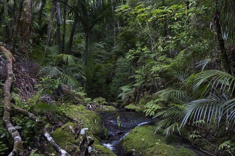Photo of property in 37 Wairakau Road, Totara North, Kaeo, 0479