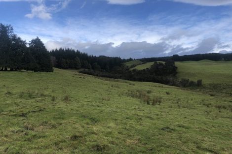 Photo of property in 5 Willowford Road, Waiwhare, Hastings, 4179