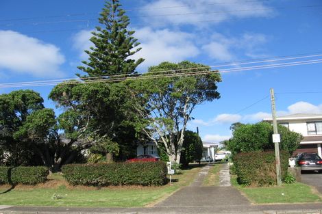Photo of property in 57 Ruawai Road, Mount Wellington, Auckland, 1060