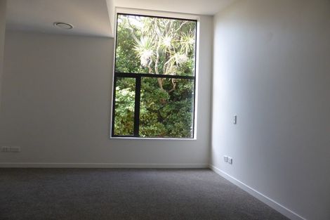 Photo of property in Nouvo Apartments, 4/21 Rugby Street, Mount Cook, Wellington, 6021