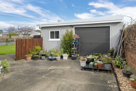 Photo of property in 31 Carlisle Street, Levin, 5510