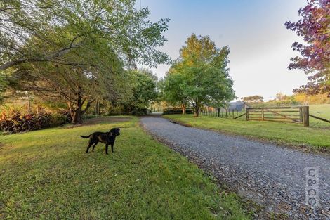Photo of property in 1226 State Highway 16, Waimauku, 0883