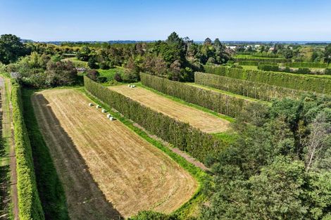 Photo of property in 85 Wharawhara Road, Tahawai, Katikati, 3178