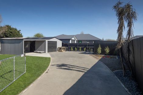 Photo of property in 62 Suffolk Street, Hampstead, Ashburton, 7700