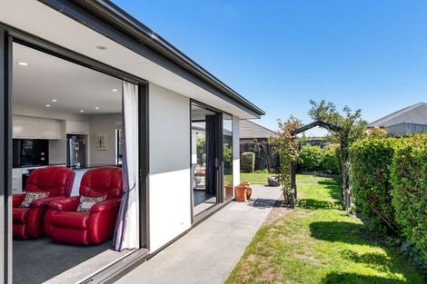 Photo of property in 49 Te Rito Street, Marshland, Christchurch, 8083
