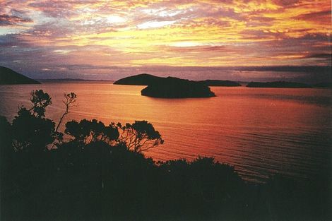 Photo of property in 1590 Wyuna Bay Road, Wyuna Bay, Coromandel, 3581