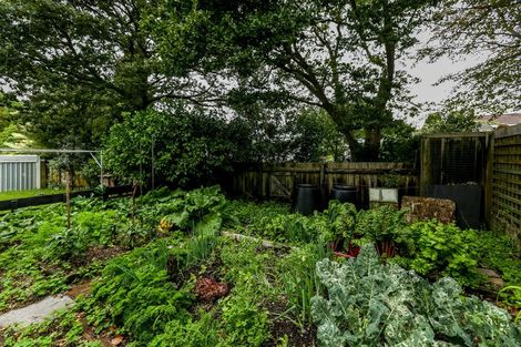 Photo of property in 17 Vivian Street, New Plymouth, 4310