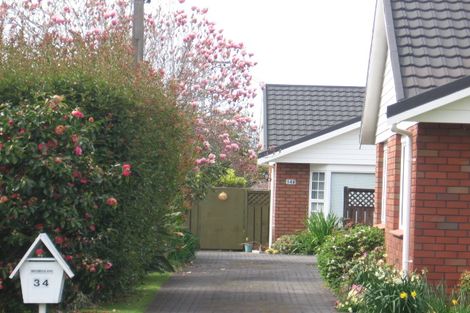 Photo of property in 34b Myres Street, Otumoetai, Tauranga, 3110