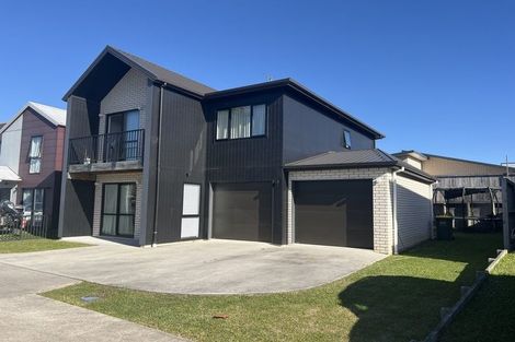 Photo of property in 45 Tennille Street, Flagstaff, Hamilton, 3210