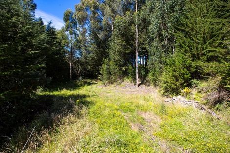 Photo of property in 533 Mount Cargill Road, Mount Cargill, Waitati, 9085