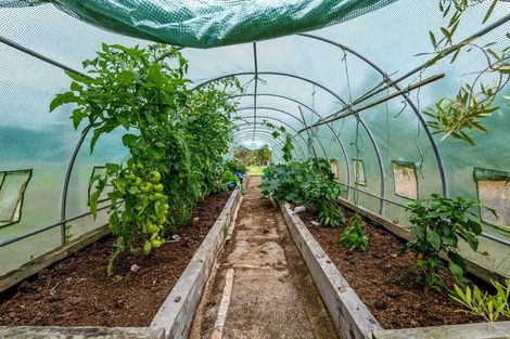 Photo of property in 438 Alfred Road, Kaimiro, New Plymouth, 4371