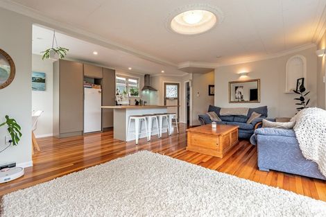 Photo of property in 132 Limbrick Street, Terrace End, Palmerston North, 4410