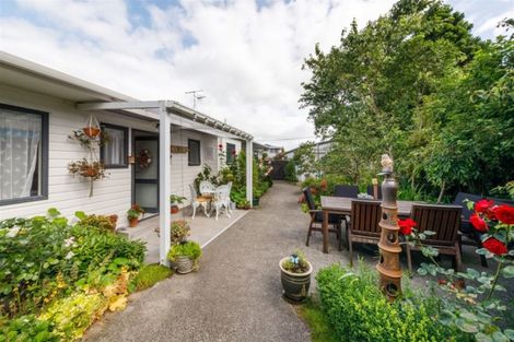 Photo of property in 101 Lincoln Street, Ashhurst, 4810