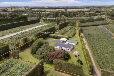 Photo of property in 81 Lockington Road, Aongatete, Katikati, 3181
