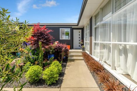 Photo of property in 11b Arundel Street, Tauranga, 3110