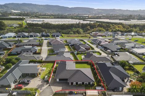 Photo of property in 14c No 2 Road, Te Puke, 3119