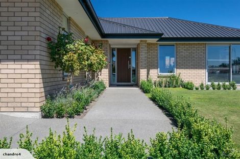 Photo of property in 7 Laird Street, Witherlea, Blenheim, 7201