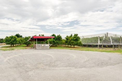 Photo of property in 200 Longlands Road, Longlands, Hastings, 4172