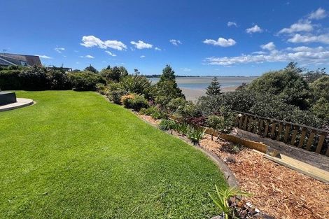 Photo of property in 31 Te Hono Street, Maungatapu, Tauranga, 3112
