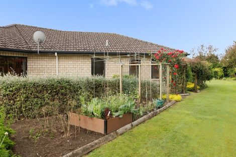 Photo of property in 6 Jason Place, Pyes Pa, Tauranga, 3112