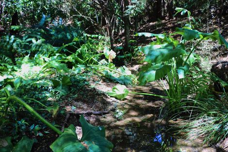 Photo of property in 96 Lamb Road, Parua Bay, Whangarei, 0174