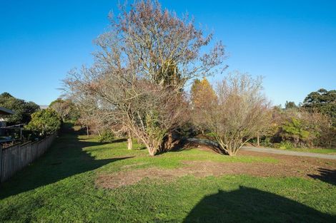 Photo of property in 63 Hall Street, Kihikihi, Te Awamutu, 3800
