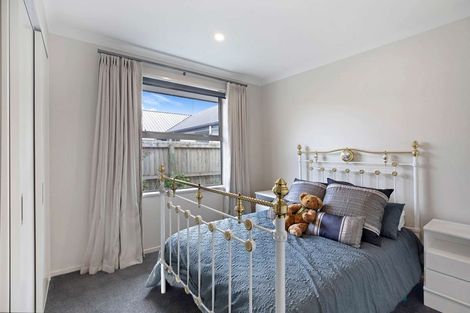 Photo of property in 133 Jimmy Adams Terrace, Lincoln, 7608