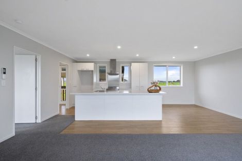 Photo of property in 380 Rongotea Road, Rongotea, 4476