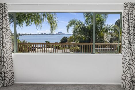 Photo of property in 202 Maungatapu Road, Maungatapu, Tauranga, 3112