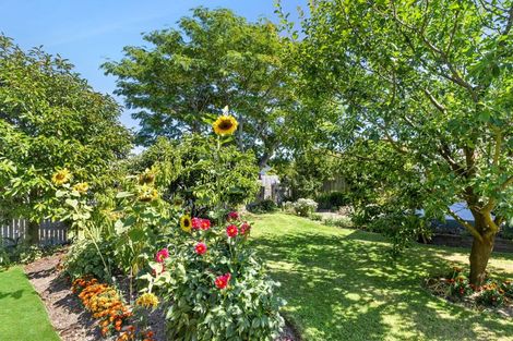 Photo of property in 29 York Street, Motueka, 7120