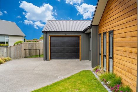 Photo of property in 17 Tarata Grove, Lansdowne, Masterton, 5810
