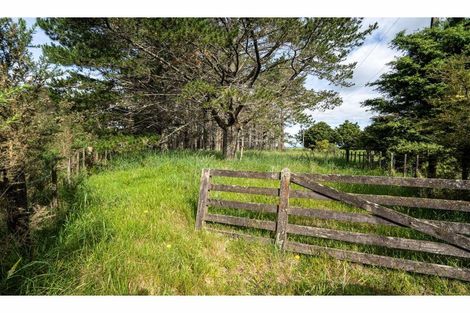 Photo of property in 75 Hikurua Road, Kaeo, 0478