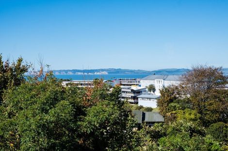 Photo of property in 7 Cobden Lane, Bluff Hill, Napier, 4110