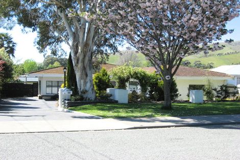 Photo of property in 229 Howick Road, Witherlea, Blenheim, 7201