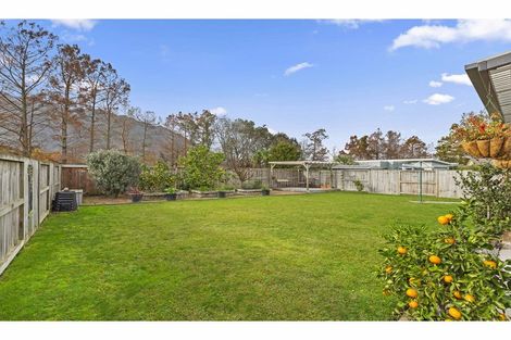 Photo of property in 56 Ritchie Street, Te Aroha, 3320