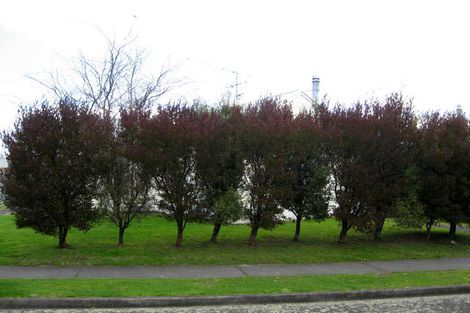 Photo of property in 6 Okato Place, Kuripuni, Masterton, 5810