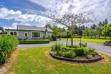 Photo of property in 386 Upper Plain Road, Upper Plain, Masterton, 5888